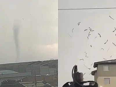 Tornado causa destruição em São José dos Pinhais e mobiliza equipes de emergência