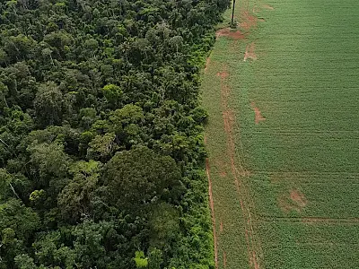 Brasil apresenta soluções de financiamento climático em Nova York