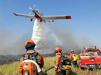 Mato Grosso do Sul facilita licenciamento para uso controlado do fogo