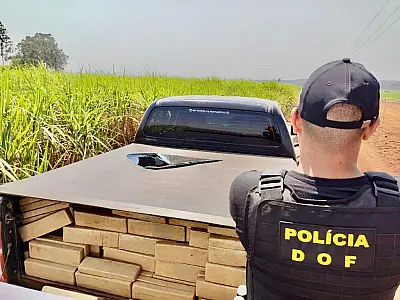 Mato Grosso do Sul registra aumento nas apreensões de drogas em 2024
