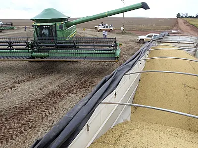 Colheita de soja e milho avança no Brasil, mas feijão e arroz apresentam atrasos