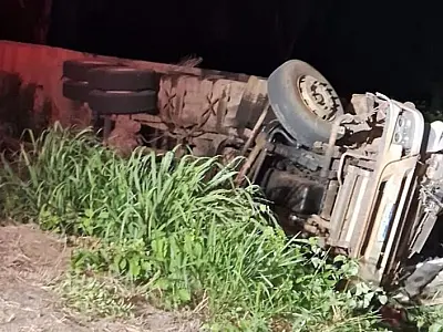 Caminhão boiadeiro tomba com 105 animais e motorista morre