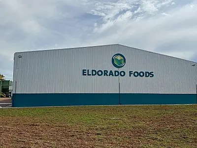 Fecularia Eldorado gera 330 empregos e avança industrialização da mandioca no sul de MS