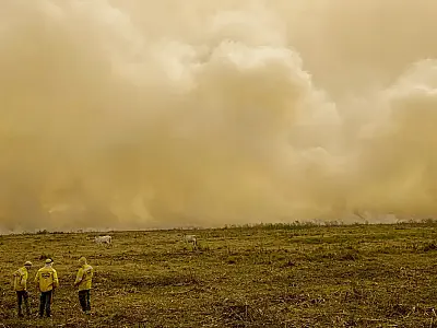 Calor já mata meio milhão de pessoas por ano, alertam cientistas