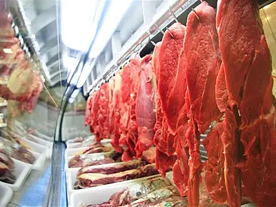 Preço da carne bovina  pode reduzir com imposto zerado