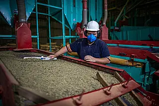 Agro movimenta 22,5 mil empregos formais em Campo Grande