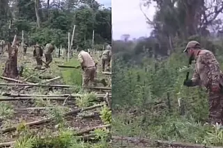 Operação com apoio da PF destrói plantação gigante de maconha no Paraguai