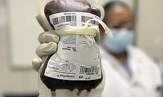 Lei cria Junho Vermelho para incentivar doação de sangue no Brasil