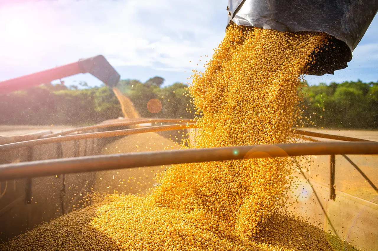 STF valida Moratória da Soja e decisão divide indústria e produtores