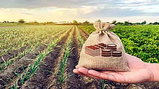 Renegociação de dívidas rurais avança, mas produtores ainda enfrentam dificuldades para acessar crédito