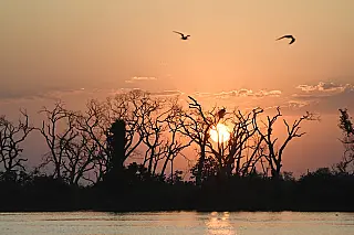 Calor de até 40°C dá lugar a frente fria e queda brusca de temperatura em MS