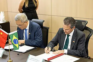 China amplia mercado para miúdos suínos do Brasil e pode gerar US$ 100 milhões