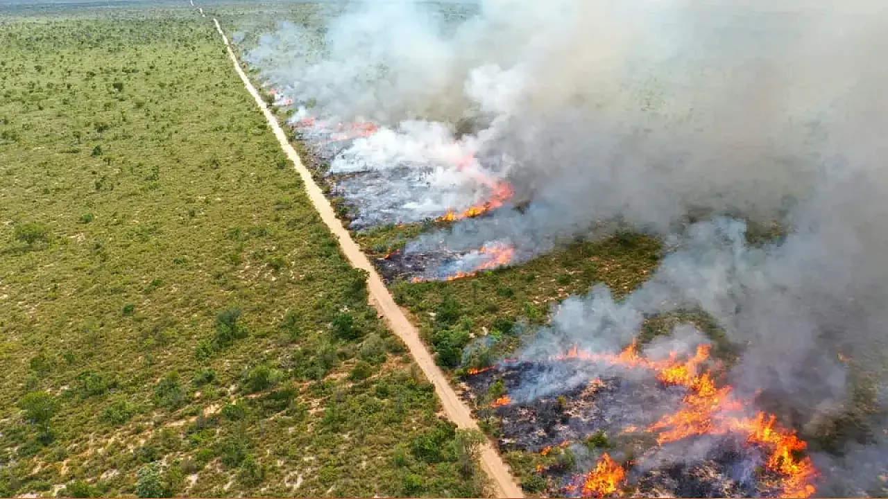 Incêndios ameaçam lavouras e destroem palhada em áreas rurais de MS