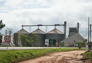 MS tem déficit de 12 milhões de toneladas na armazenagem de grãos