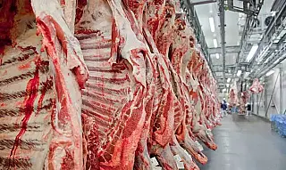 Brasil pode ficar fora do mercado europeu de carne até o fim de 2026, avalia consultor