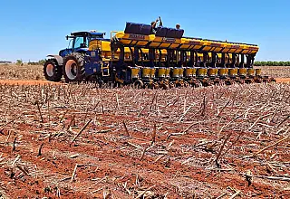 MS amplia área de soja, mas prevê queda de 8,4% na produção em 2026/27