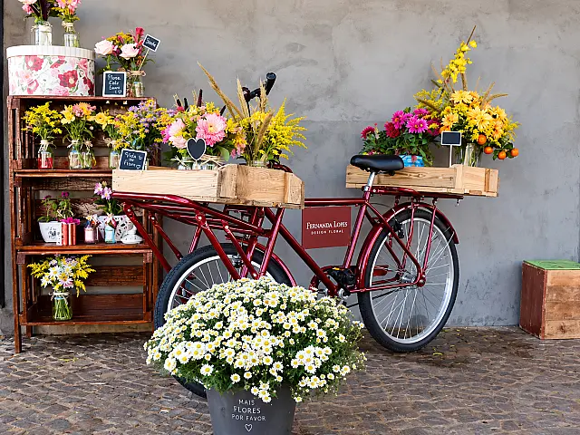 Da bicicleta na calçada ao espaço fixo: Bike Flowers ganha nova casa em Campo Grande