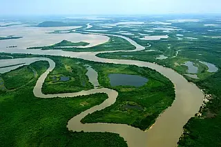 MS destina R$ 7 milhões a produtores que preservam vegetação no Pantanal