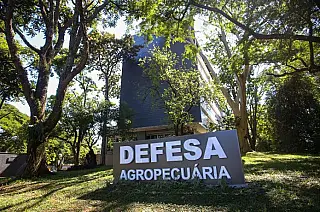 Brasil confirma foco de doença de Newcastle em criação comercial de perus