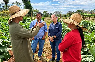 Agricultores  diversificam lavoura e conquistam clientes em Campo Grande