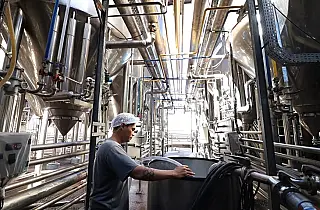 MS chega a 685 mil empregos formais e acumula saldo positivo em 2026