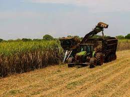 Cana moída em Mato Grosso do Sul ultrapassa 43 milhões de toneladas