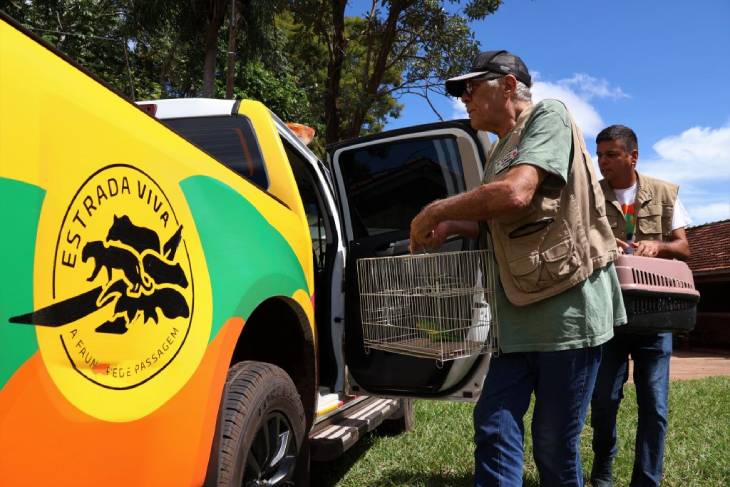 PMA intensifica ações para evitar atropelamento de animais na principal rodovia do Pantanal